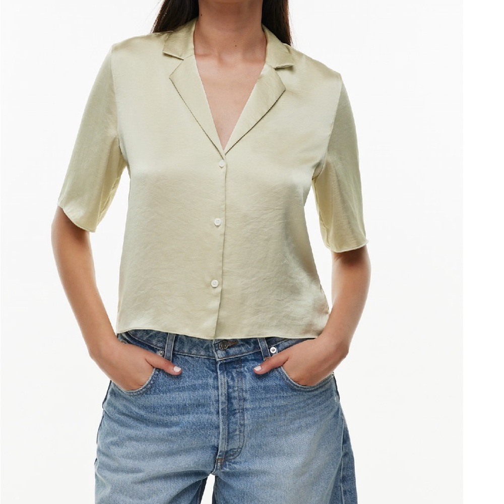 Wilfred Aritzia Satin Shirt